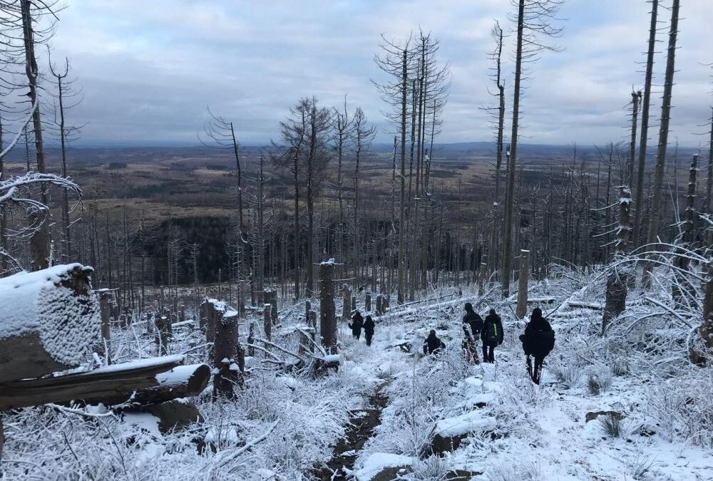 Unser UNESCO-Projekt „Drei Annen“