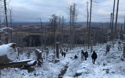Unser UNESCO-Projekt „Drei Annen“